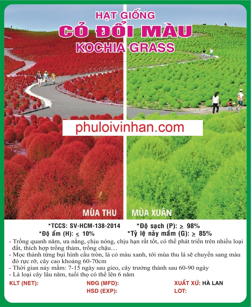 CỎ ĐỔI MÀU - 0.2GR
