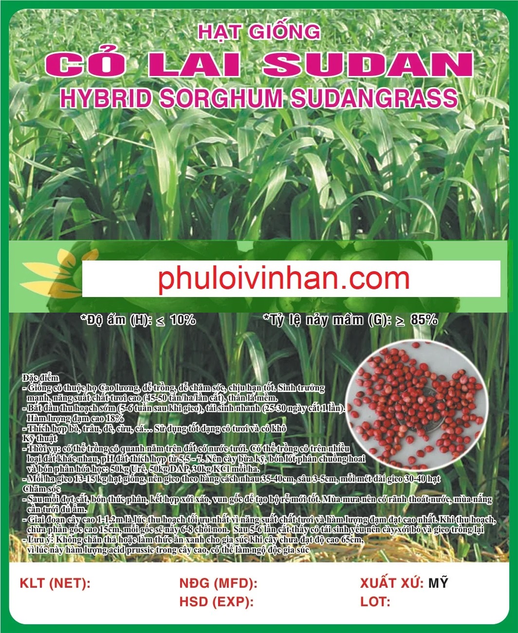 CỎ LAI SUDAN