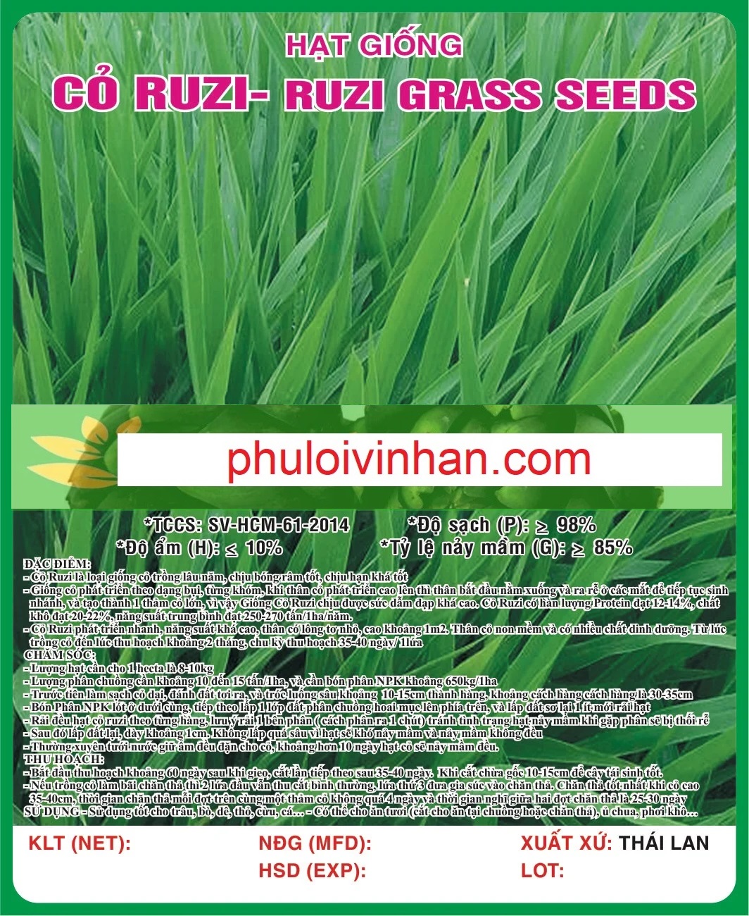 CỎ RUZI (CHỊU GIẪM ĐẠP)