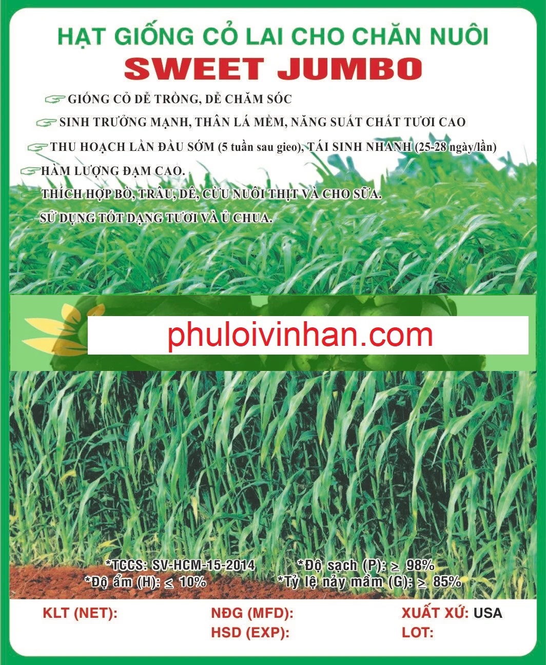 CỎ SWEET JUMBO