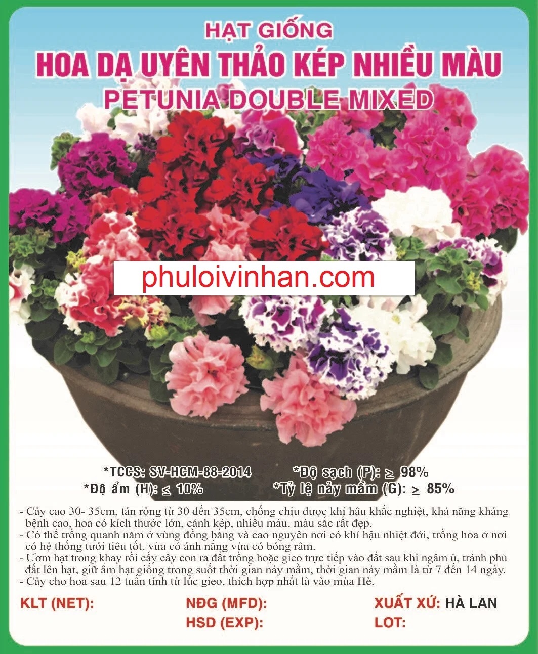 DẠ UYÊN THẢO KÉP NHIỀU MÀU - 5 HẠT
