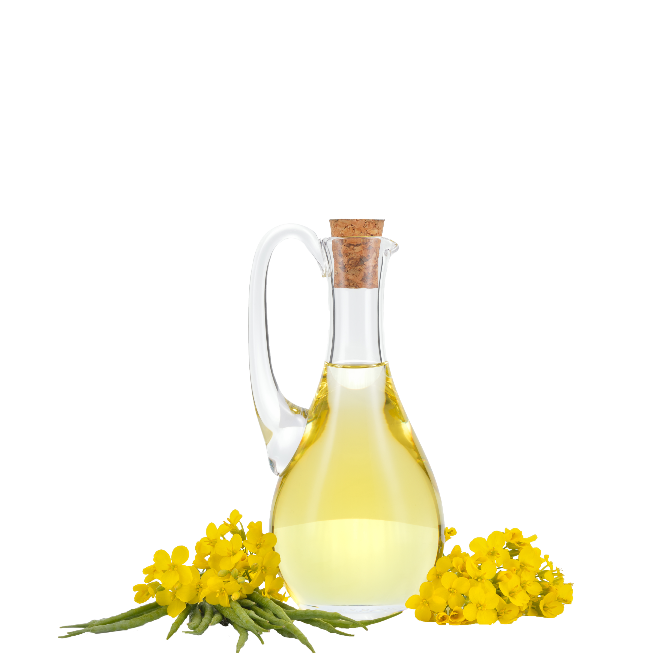 DẦU HẠT CẢI TINH LUYỆN