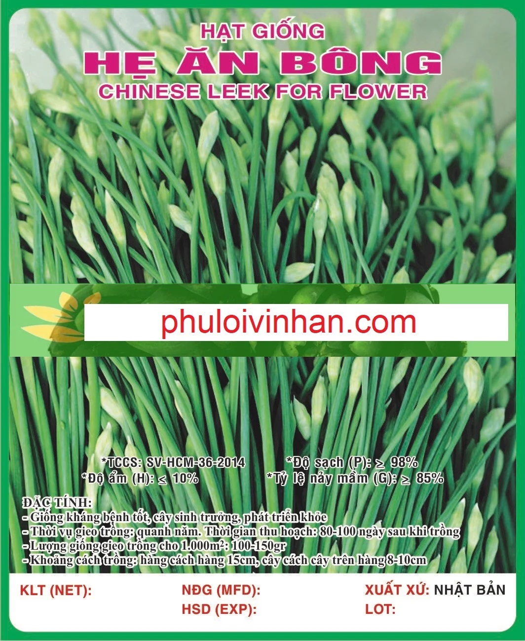 HẸ ĂN BÔNG