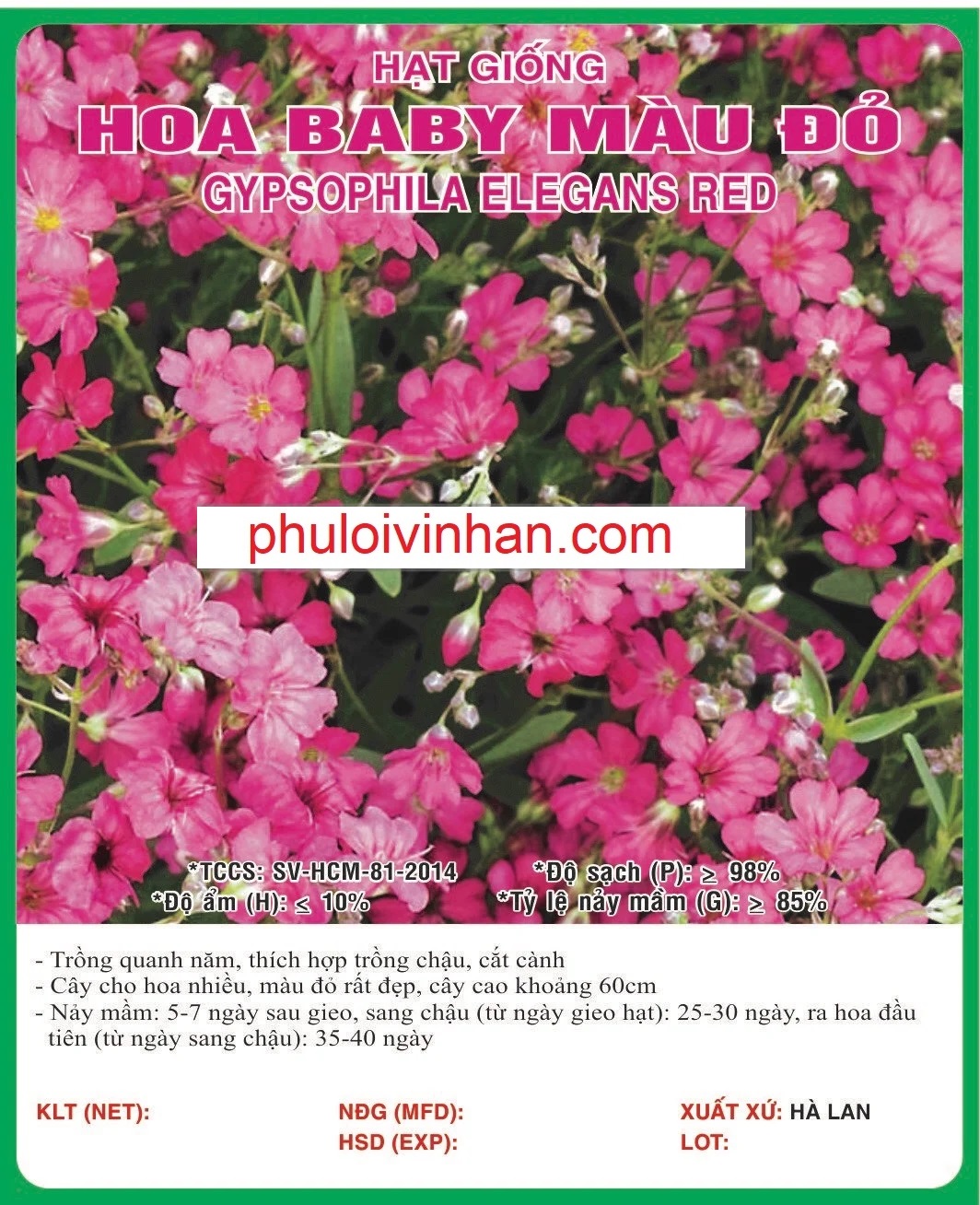 HOA BABY ĐỎ - 0.5GR