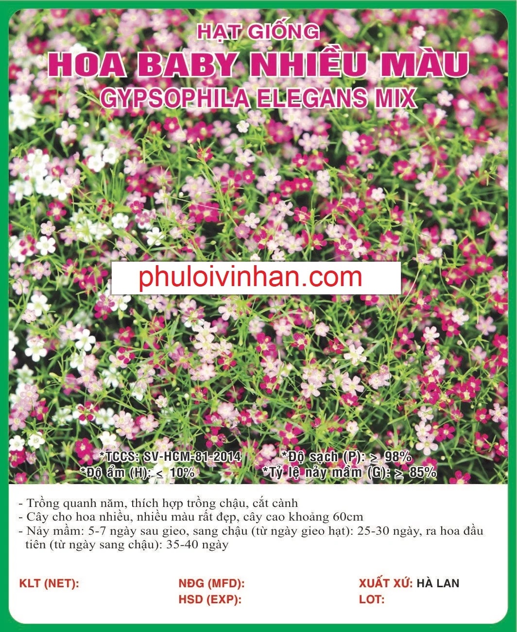 HOA BABY NHIỀU MÀU - 0.5GR