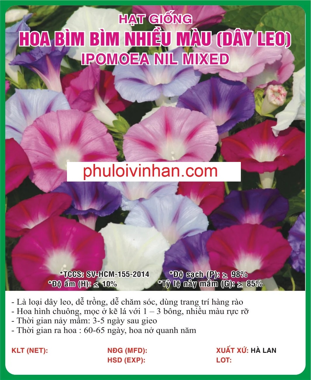 HOA BÌM BÌM NHIỀU MÀU (DÂY LEO) - 0.5GR
