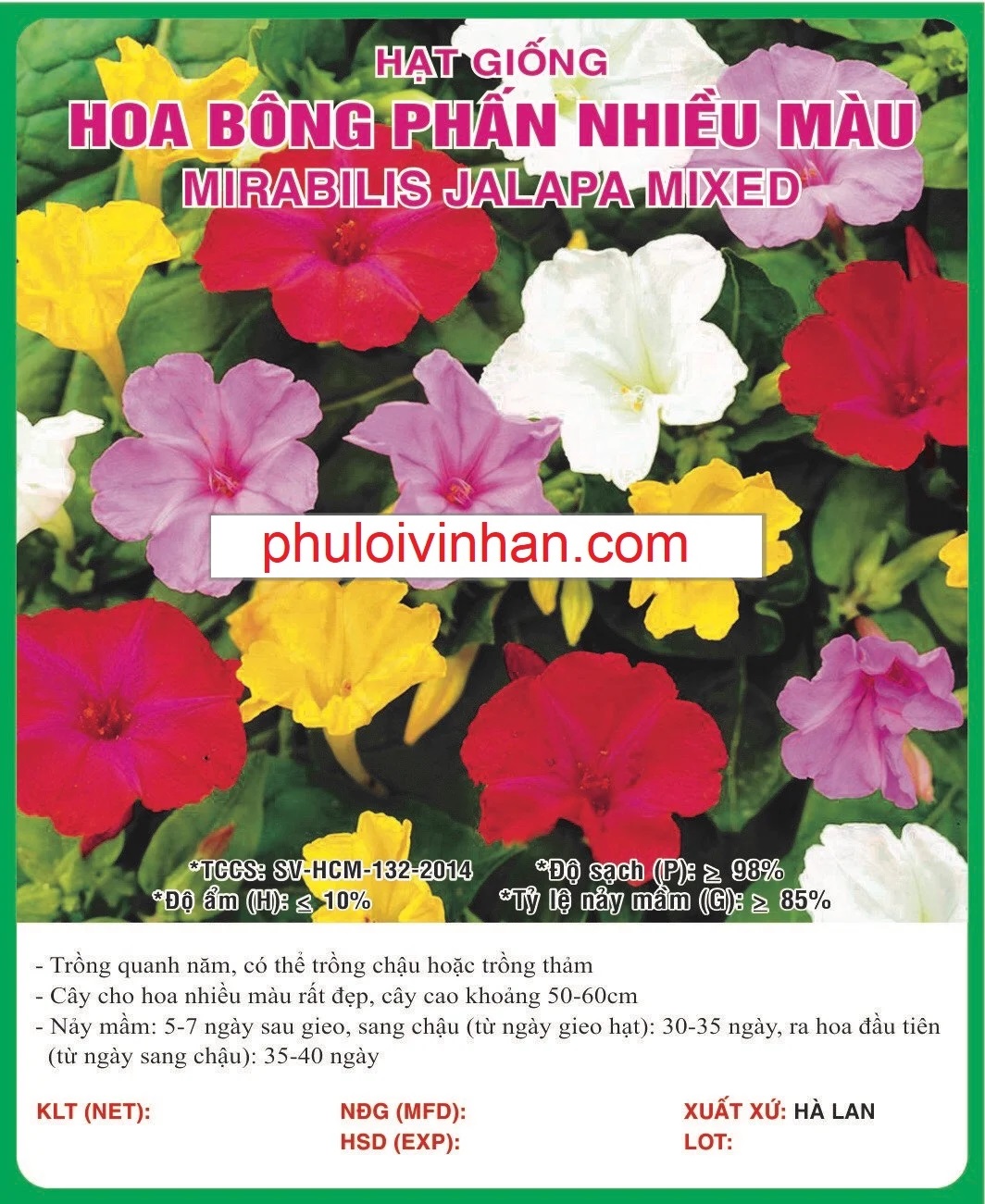 HOA BÔNG PHẤN NHIỀU MÀU - 1GR