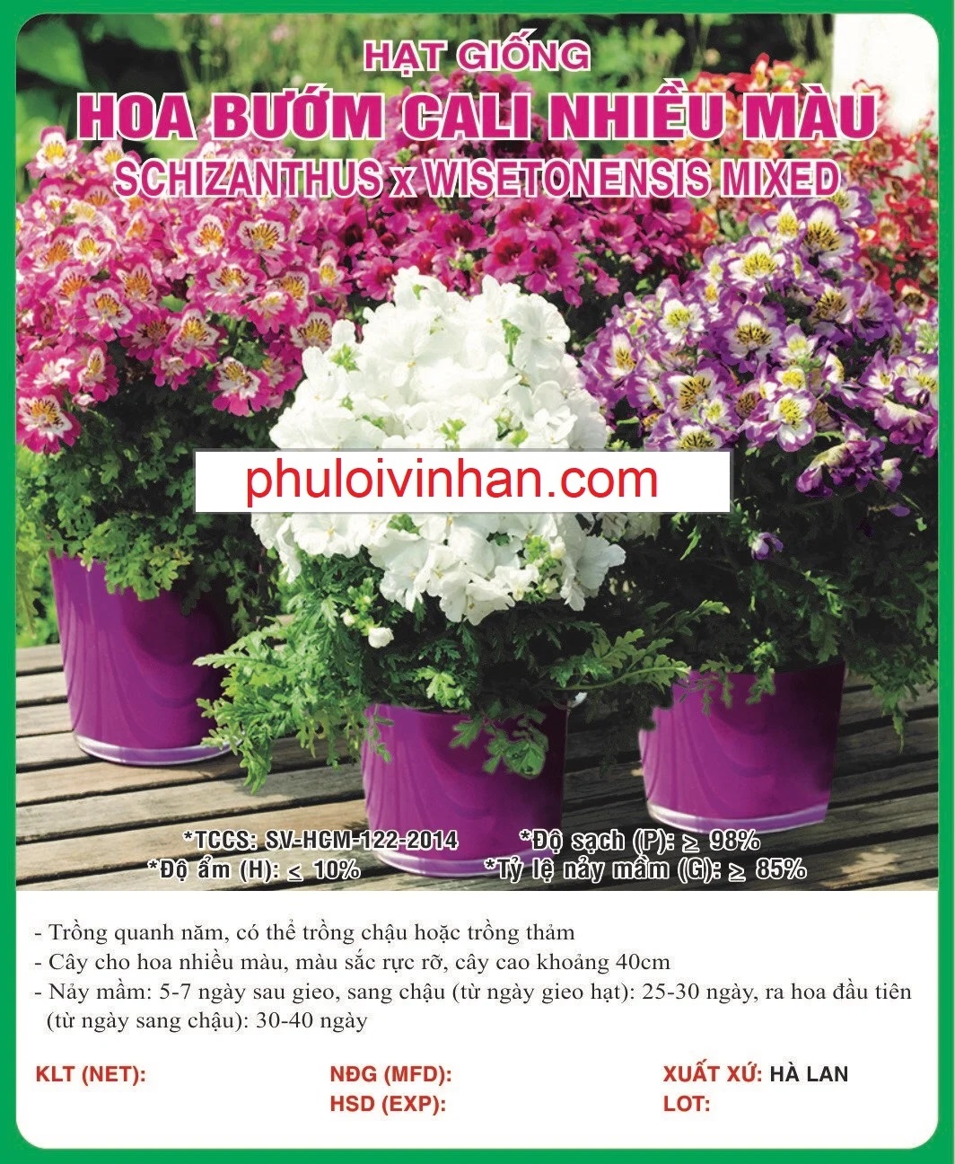HOA BƯỚM CALI NHIỀU MÀU - 0.5GR