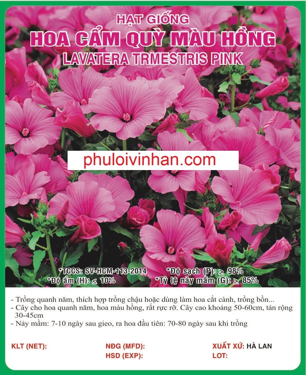 HOA CẨM QUỲ HỒNG - 0.5GR