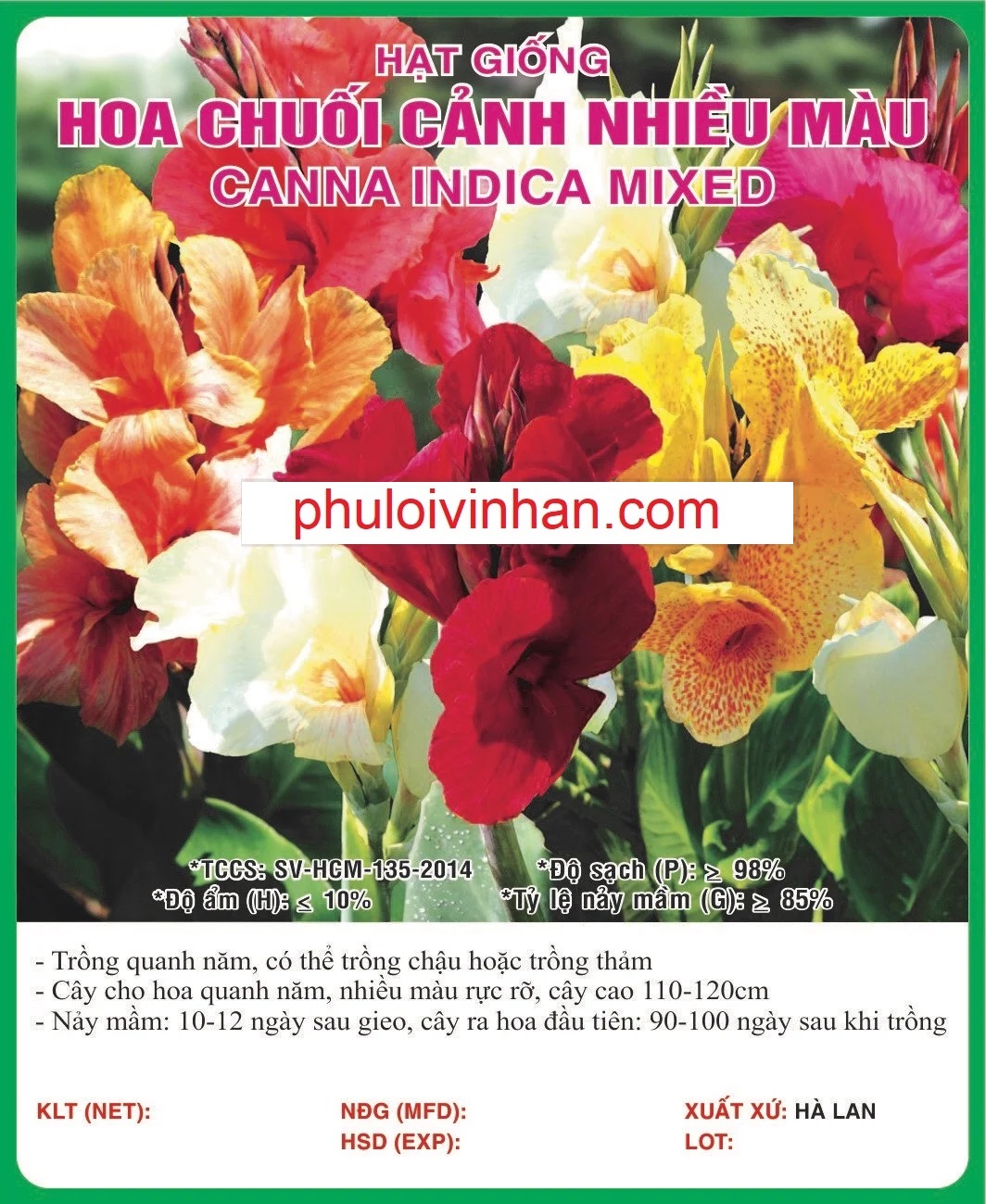 HOA CHUỐI CẢNH NHIỀU MÀU - 1GR