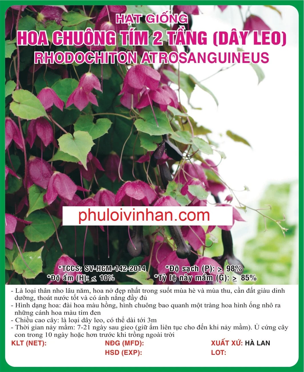 HOA CHUÔNG TÍM 2 TẦNG (DÂY LEO) - 5 HẠT
