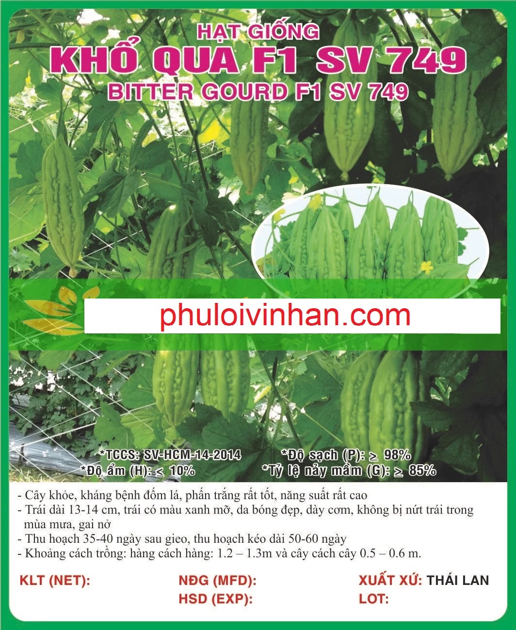 KHỔ QUA F1 SV 749