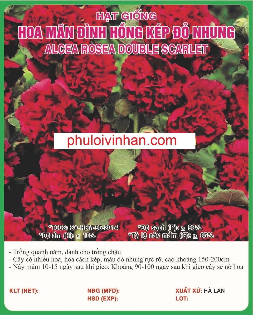 MÃN ĐÌNH HỒNG KÉP ĐỎ NHUNG - 0.5GR