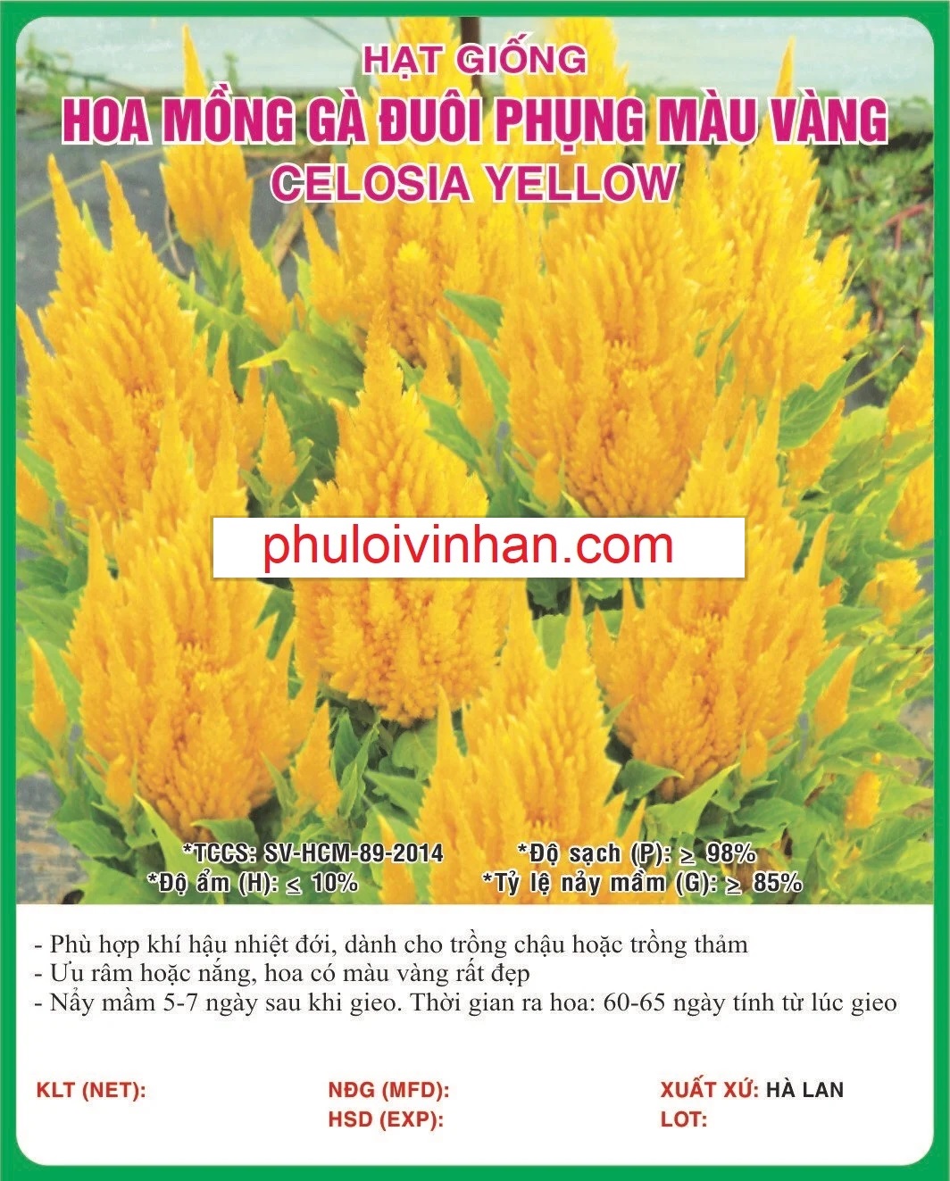 MỒNG GÀ ĐUÔI PHỤNG MÀU VÀNG - 0.5GR