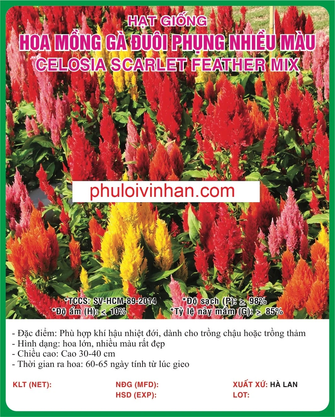 MỒNG GÀ ĐUÔI PHỤNG NHIỀU MÀU - 0.5GR