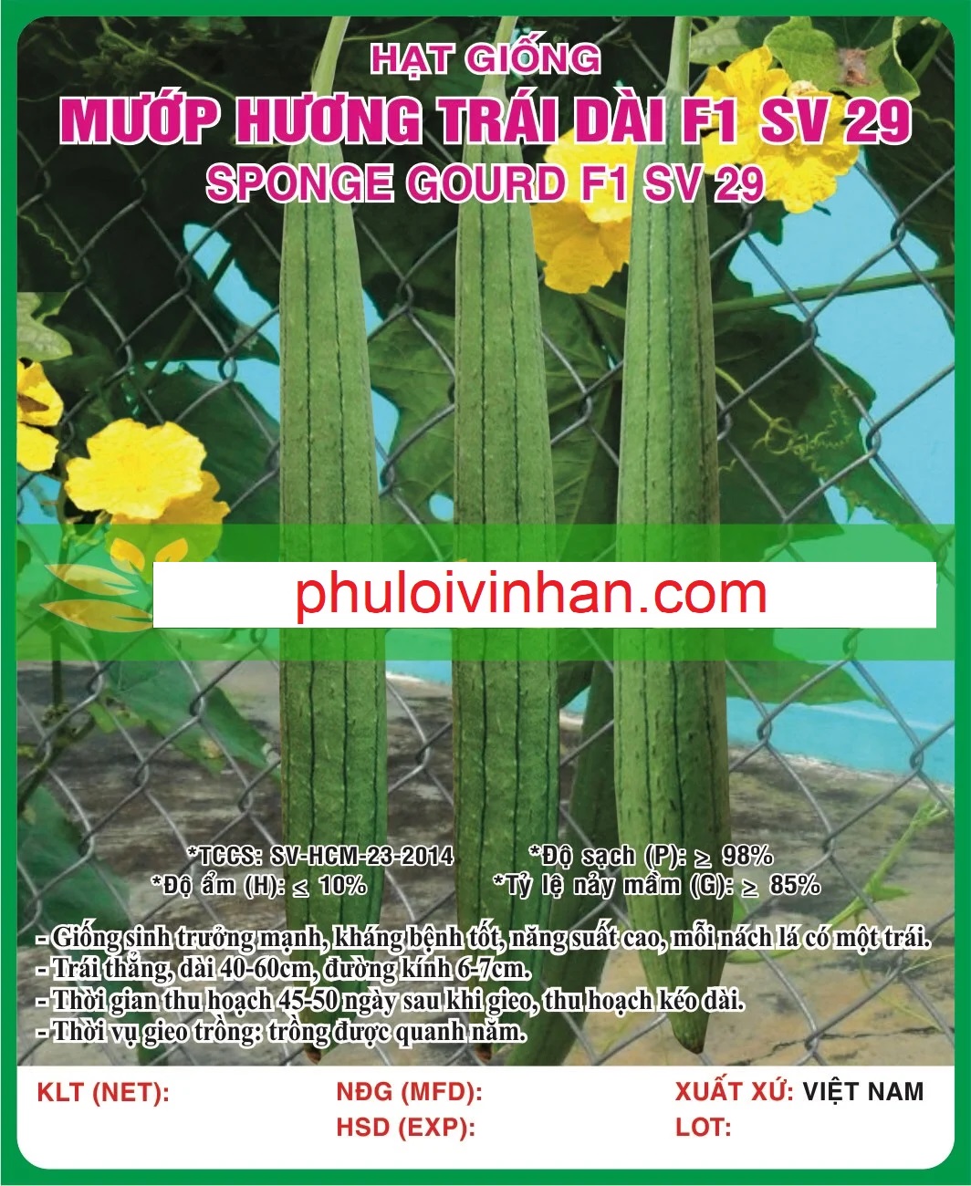 MƯỚP HƯƠNG TRÁI DÀI F1 SV 29 - 10 HẠT
