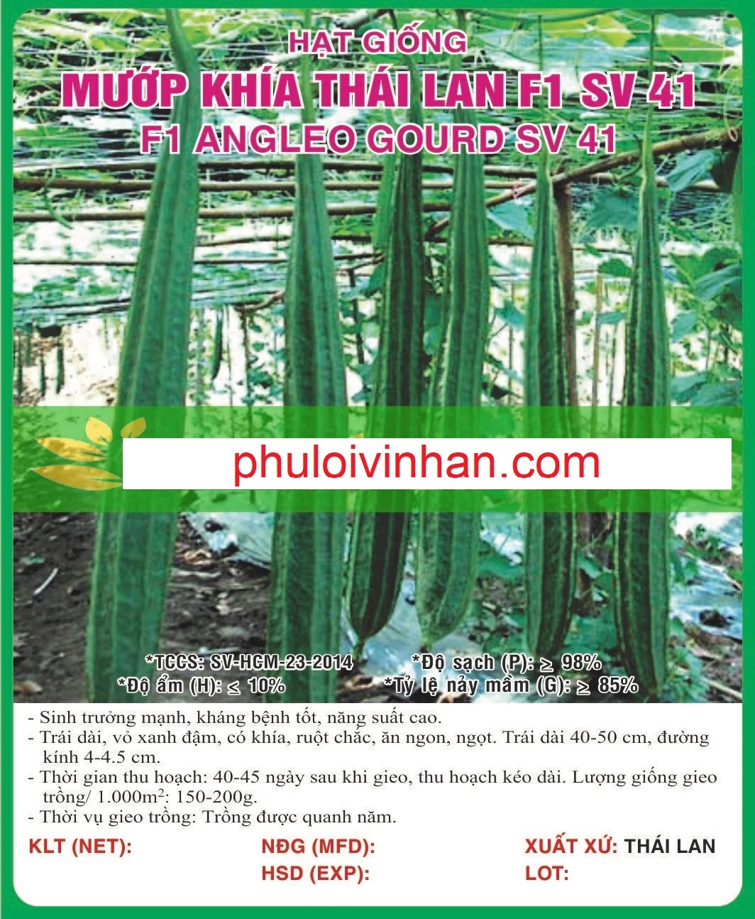 MƯỚP KHÍA THÁI LAN F1 SV 41 - 10 HẠT