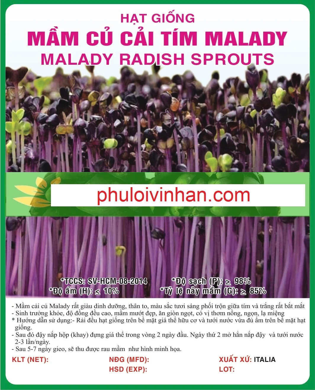 MẦM CỦ CẢI MALADY