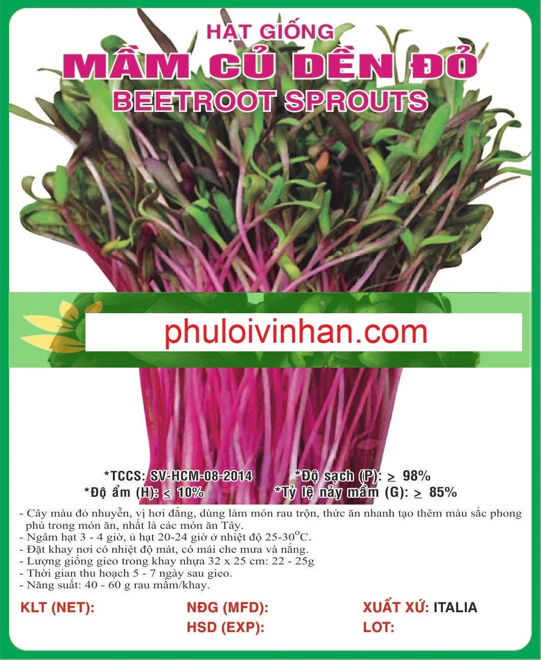 MẦM CỦ DỀN ĐỎ