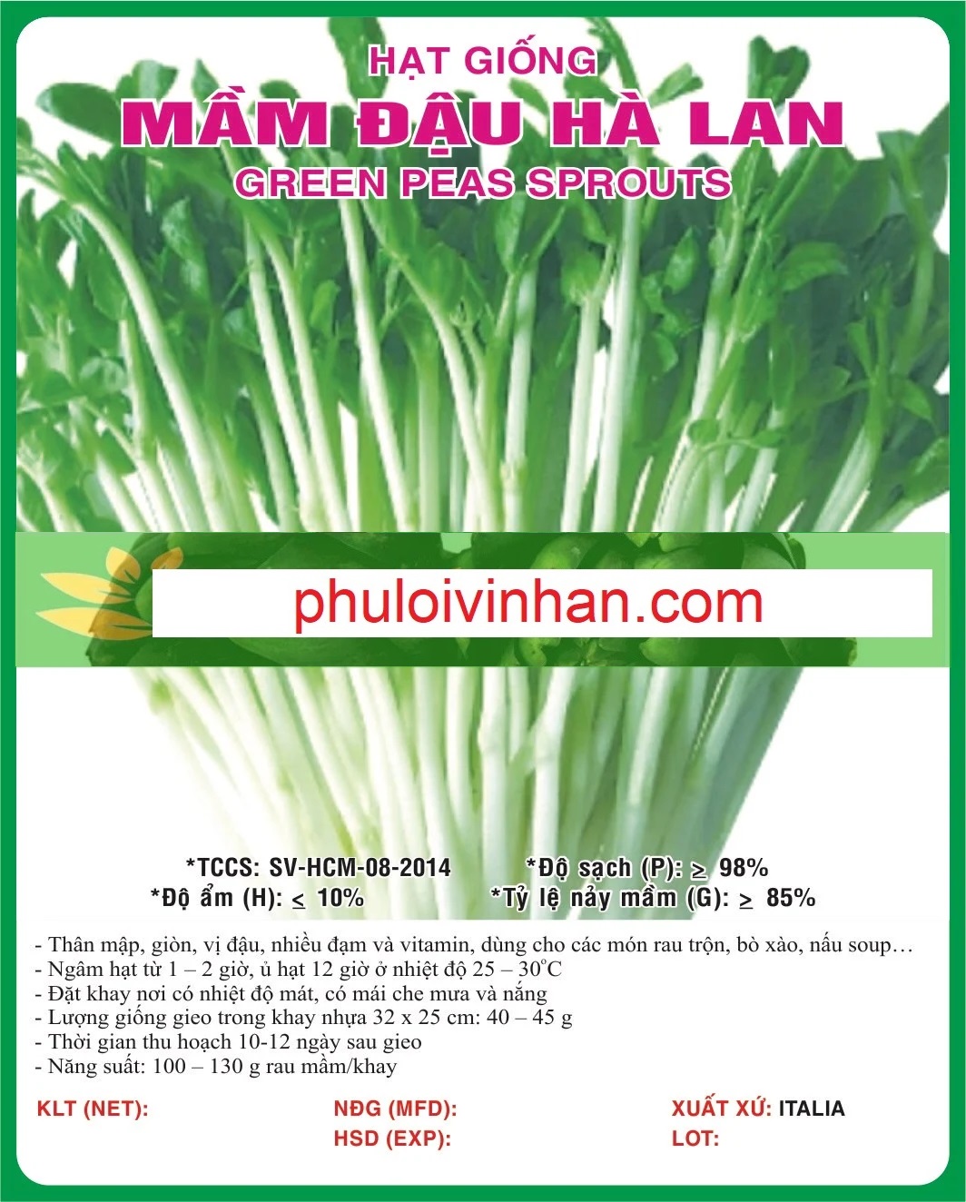 MẦM ĐẬU HÀ LAN
