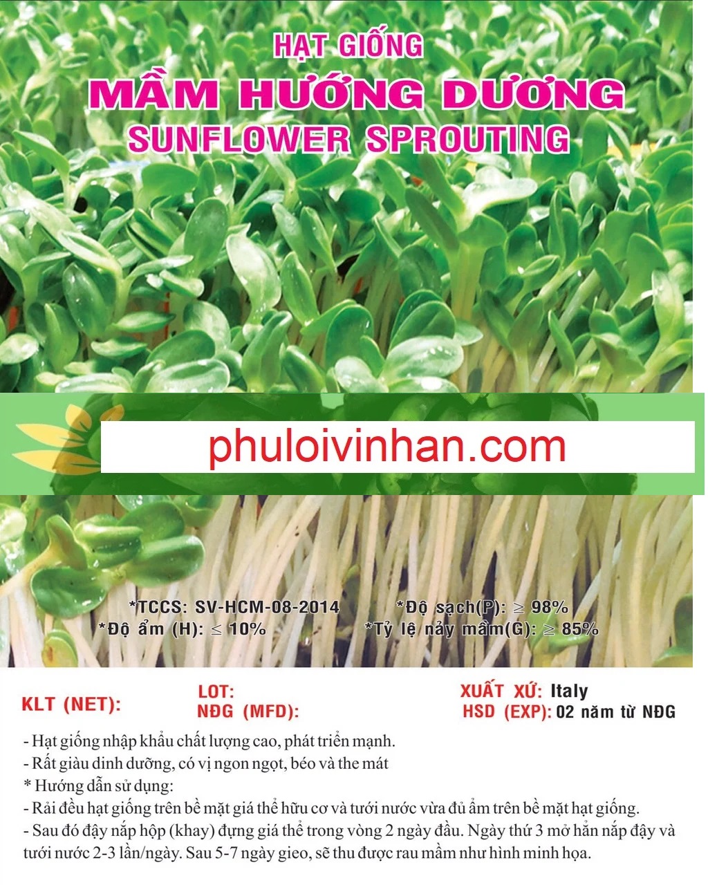 MẦM HƯỚNG DƯƠNG