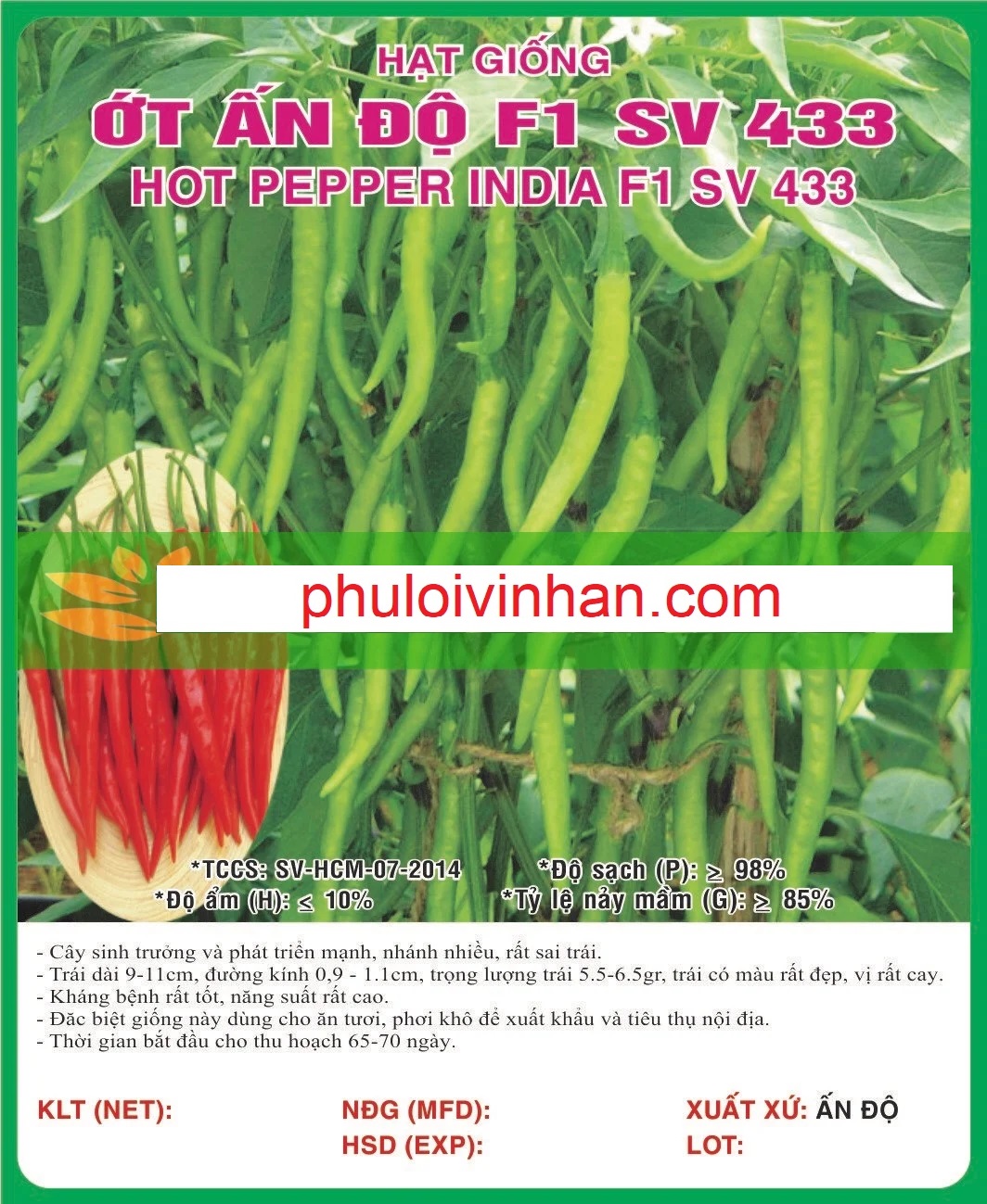 ỚT ẤN ĐỘ F1 SV 433