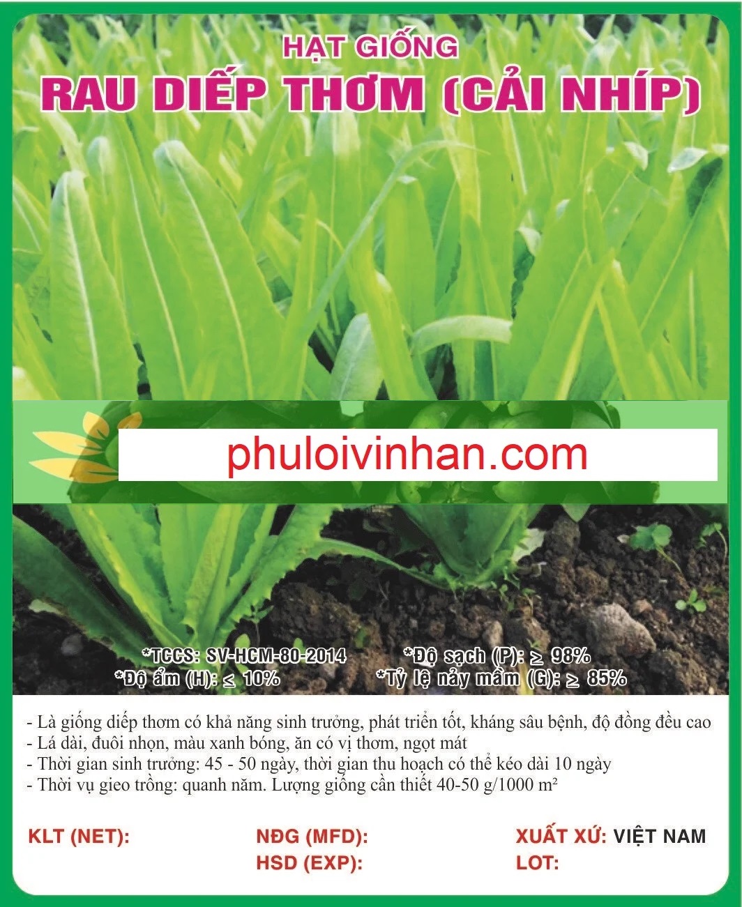 RAU DIẾP THƠM (CẢI NHÍP)