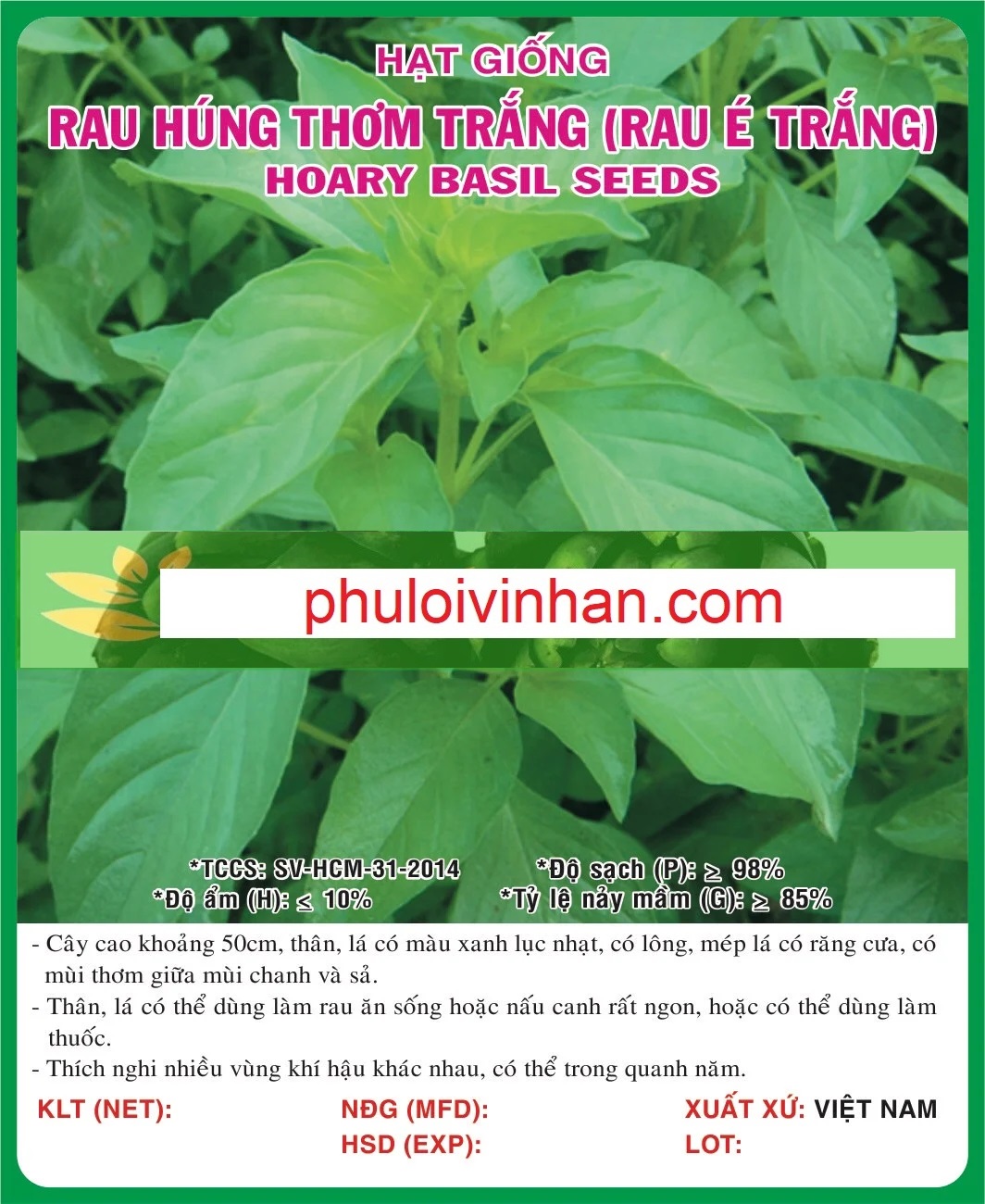 RAU HÚNG THƠM TRẮNG (É TRẮNG)