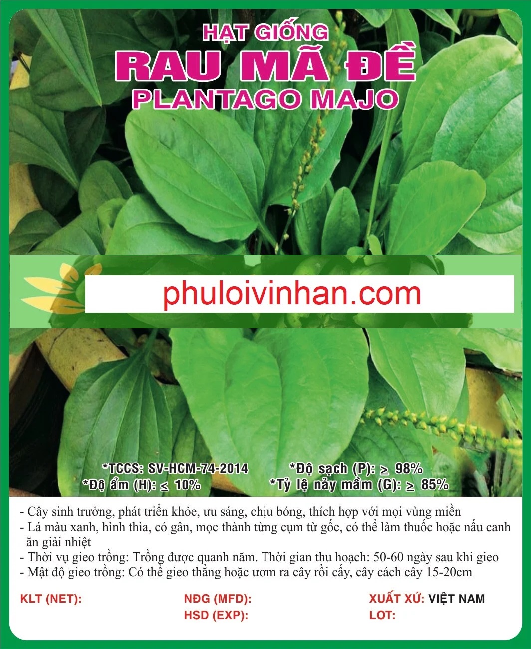 RAU MÃ ĐỀ