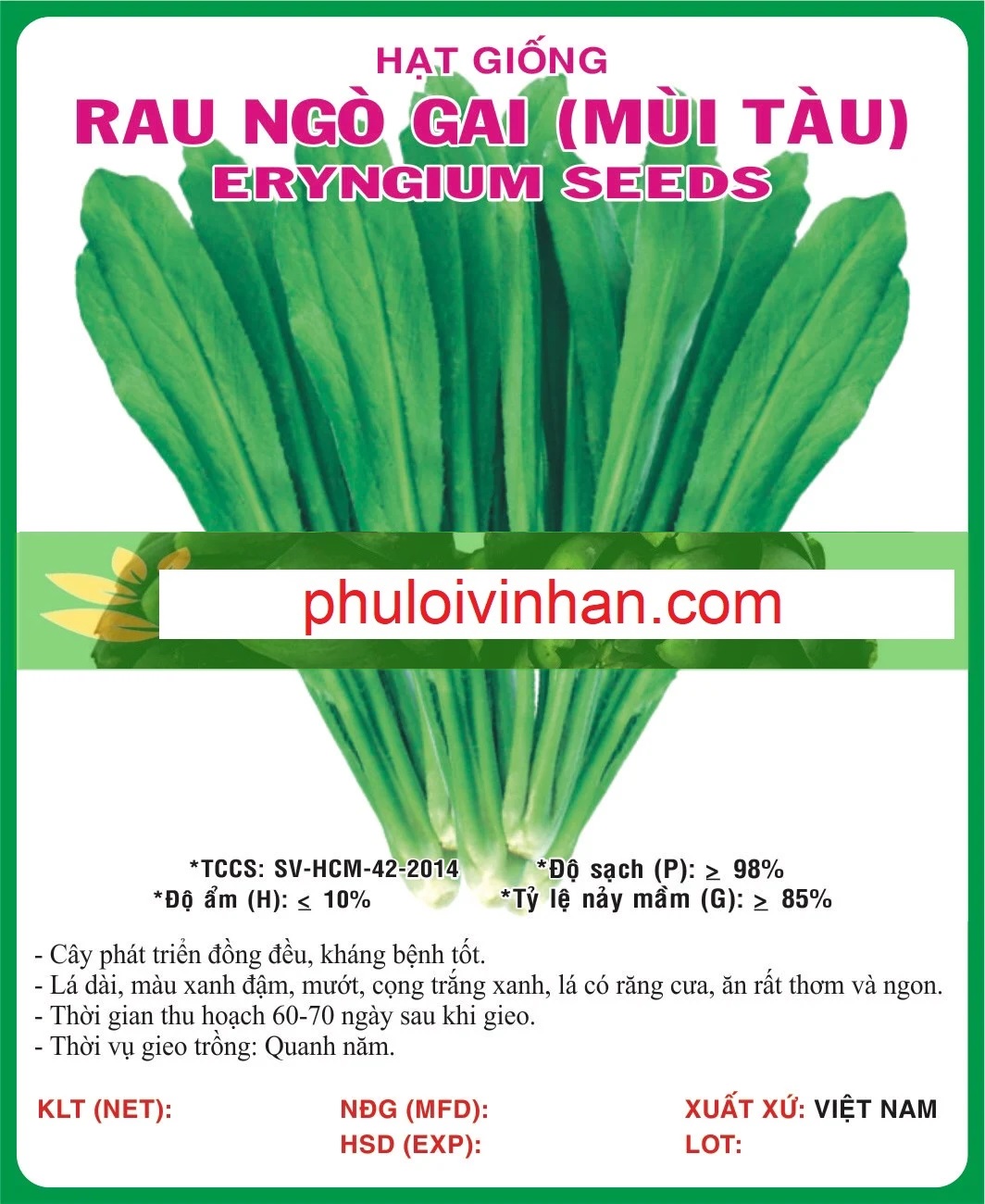 RAU NGÒ GAI (MÙI TÀU)