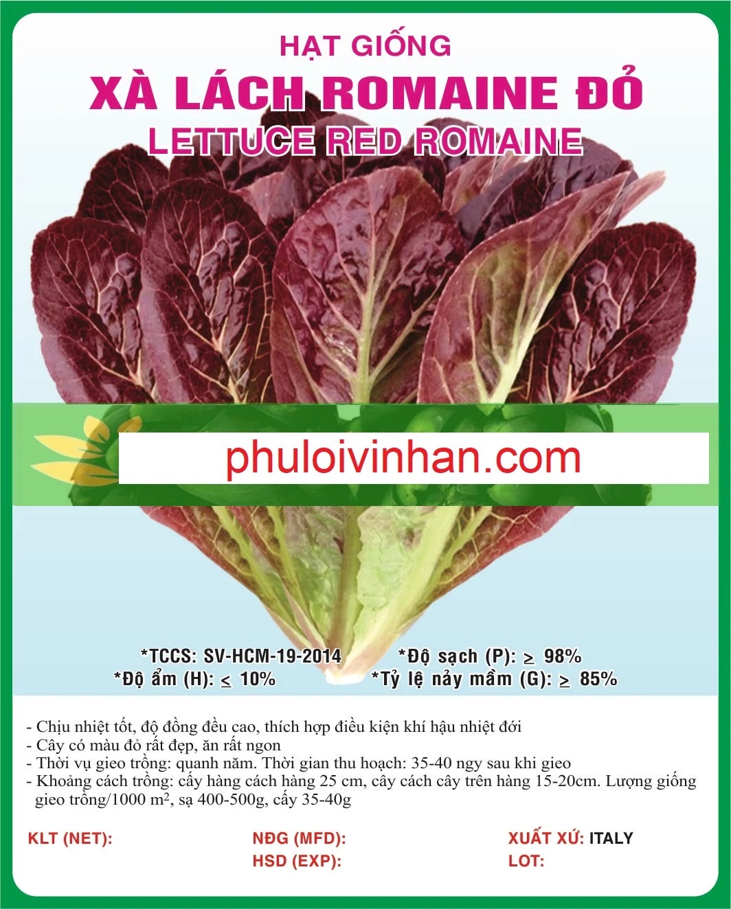 XÀ LÁCH ROMAINE ĐỎ