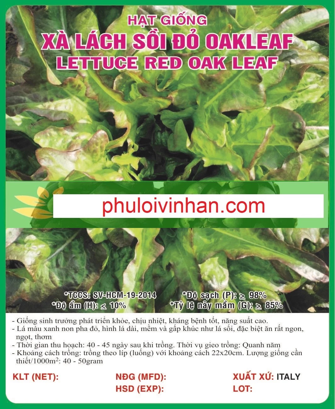 XÀ LÁCH SỒI ĐỎ OAKLEAF