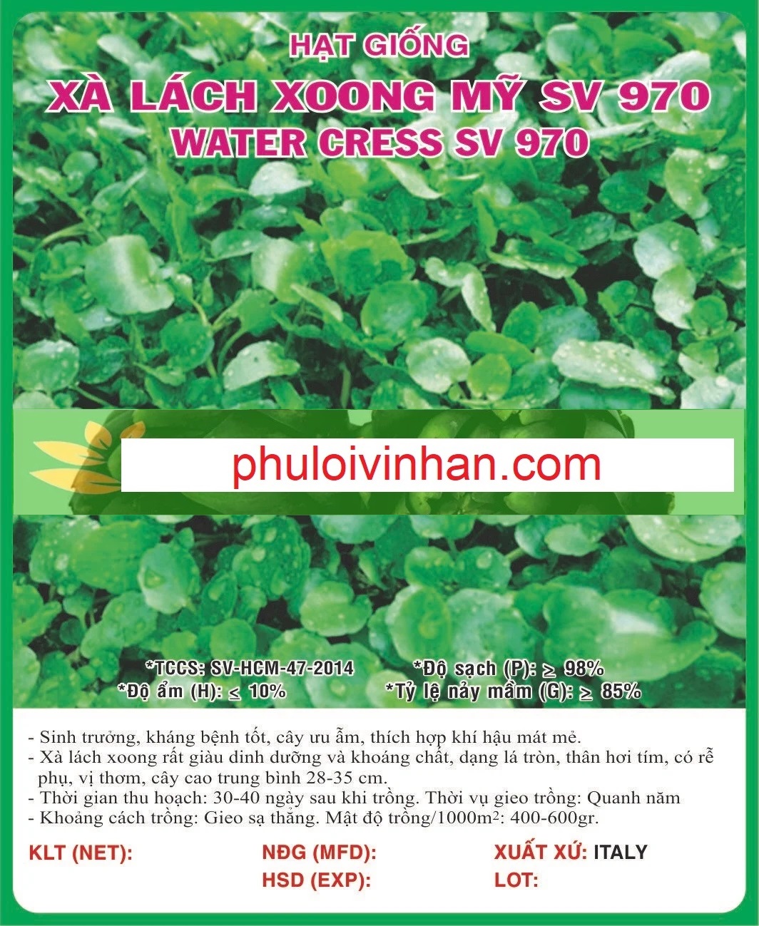 XÀ LÁCH XOONG MỸ